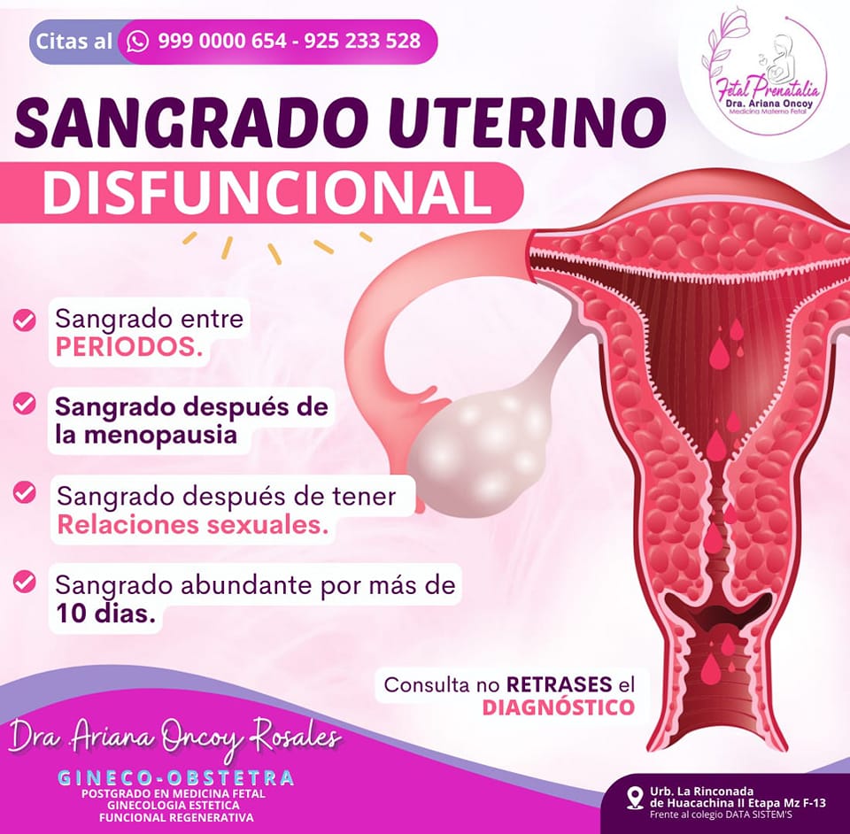 servicios de ginecologia Fetal Prenatalia