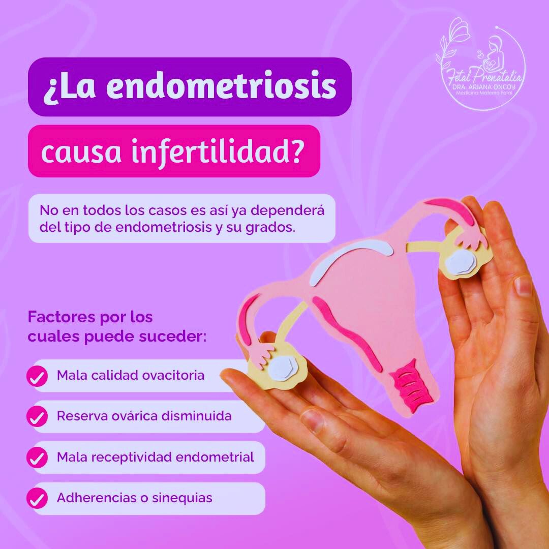 especialidad en obstetricia Fetal Prenatalia