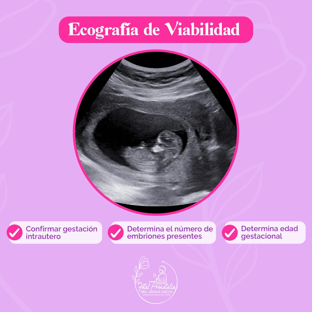 ecografia fetal prenatalia